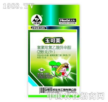 ����-�����-�ȷ��������ᮐ����