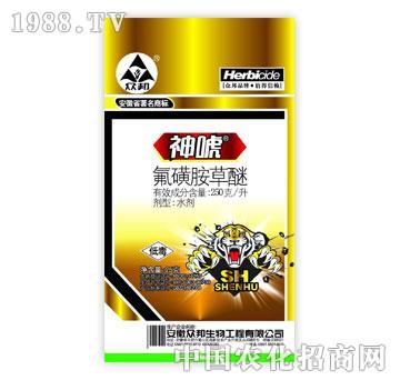 ����-��-���ǰ�����