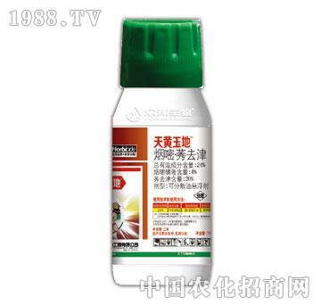 24%����ݬȥ��-������