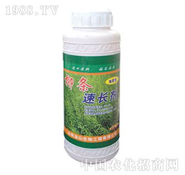 金山生物-柳條速長劑