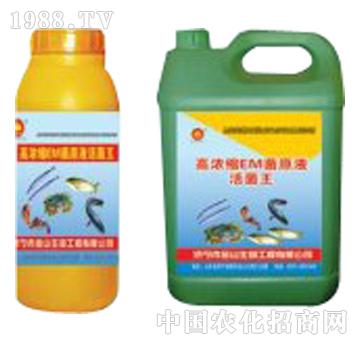 金山生物-高濃縮EM菌原液活菌王