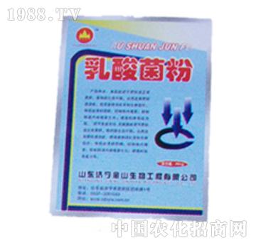 金山生物-乳酸菌粉