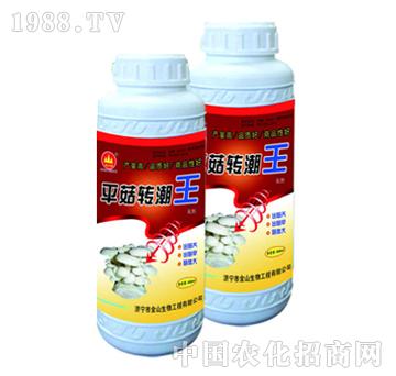 金山生物-平菇轉(zhuǎn)潮王