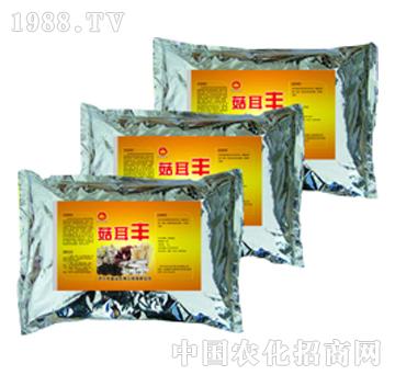 金山生物-菇耳豐