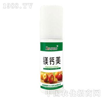 ��ʩ��-�V�}��