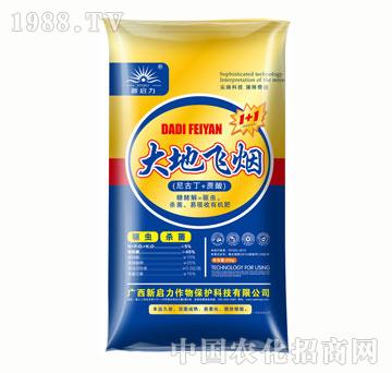 ����w��1+1������ϳ��ͣ�