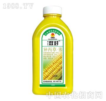 40%������ݬ-�p��-̩�