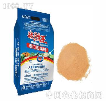 ��(zh��n)�����M(j��n)�����⛣�������⛸��}�ͣ�-�����r(n��ng)��