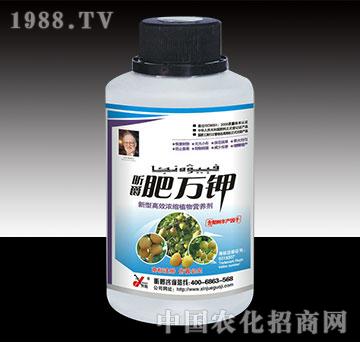 肥萬鉀梨樹瓶裝