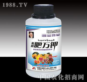 肥萬鉀果樹瓶裝