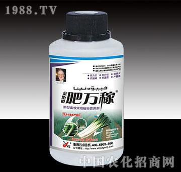 肥萬鉀大小蔥瓶裝