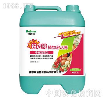 ֲ�Ｄ���؛_ʩ�ι���-���ߌ���-�J�~��