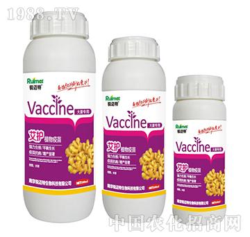 ���o(h��)ֲ������󽪌���-�J�~��