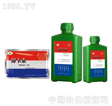 ����������Һ�ķʣ��M�ϣ�-Ħ����-��о���H