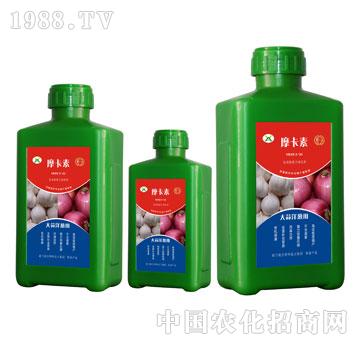 �������[���ð���������Һ�ķ�-Ħ����-��о���H