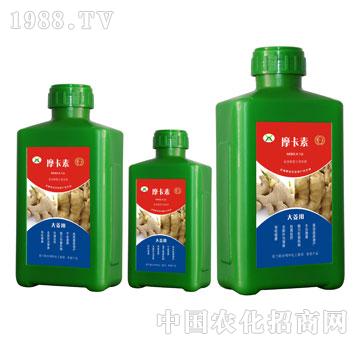 �󽪌��ð���������Һ�ķ�-Ħ����-��о���H