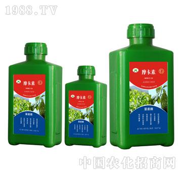 ��ɣ���ð���������Һ�ķ�-Ħ����-��о���H