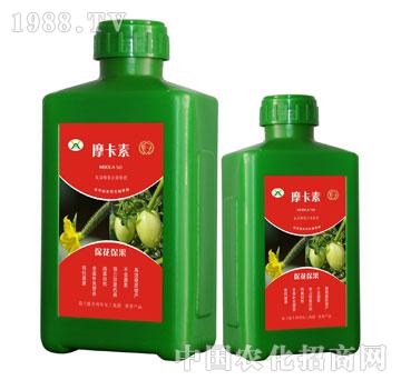 ������������������Һ�ķ�-Ħ����-��о���H