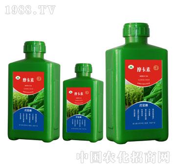 �۲ˌ��ð���������Һ�ķ�-Ħ����-��о���H