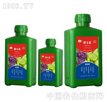 ���ь��ð���������Һ�ķ�-Ħ����-��о���H