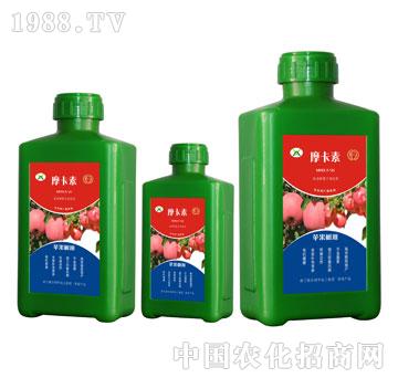 �O�����ð���������Һ�ķ�-Ħ����-��о���H