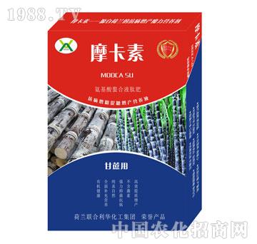 ���ጣ�ð���������Һ�ķ�-Ħ����-��о���H