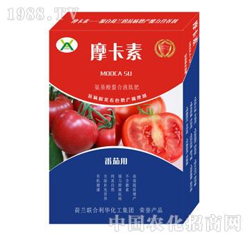 ���ь��ð���������Һ�ķ�-Ħ����-��о���H