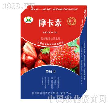 ��ݮ���ð���������Һ�ķ�-Ħ����-��о���H