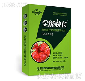 ȫ�ܿ��L����ݮ���ã�-