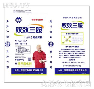 �����pЧ����19-19-19-������