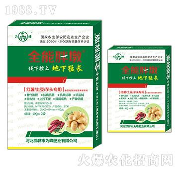 �t�������������^����-