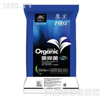 �Űك|-���־������ЙC��-����