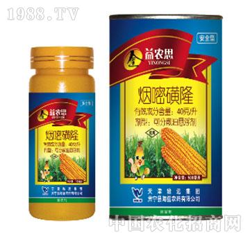 40��/�����׻�¡-���r˼-���{