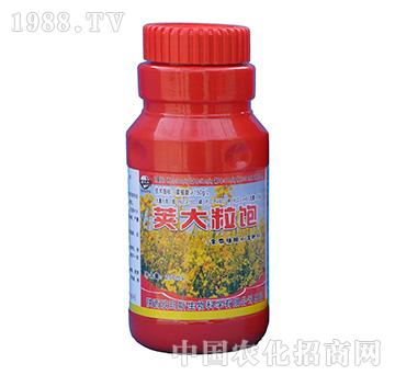 �v�����ˮ�ܷ���-�W��˹