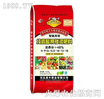 ������⛓������18-12-18-��ţ�ʘI(y��)