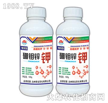 1000g���f�\�-�挚�r(n��ng)��