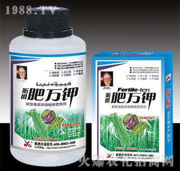 肥萬稼（豆角）-昕爵