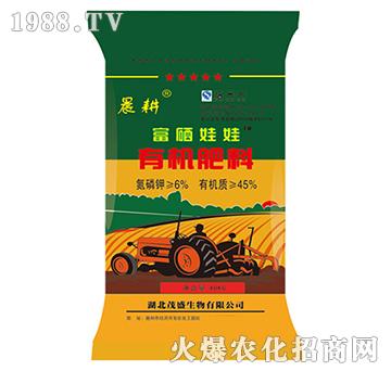 ��������-����-ïʢ