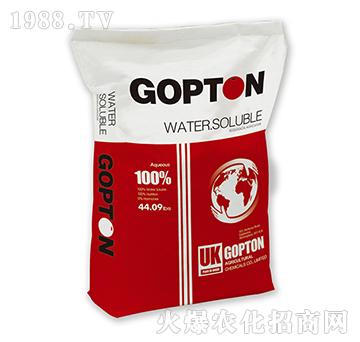 ���D�߶˴���Ԫ��ˮ�ܷ�-��ɪ��