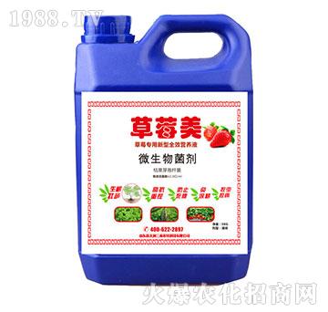 草莓美-草莓專用微生物菌劑-天潤(rùn)三禾