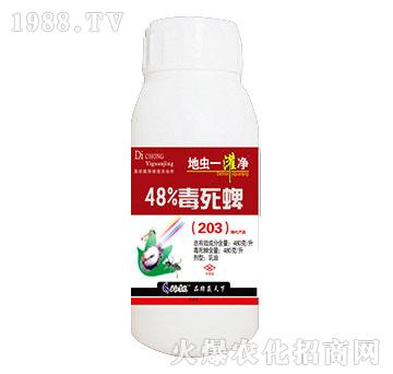 48%毒死蜱-地蟲(chóng)一灌凈-天潤(rùn)三禾