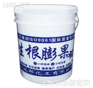 生根膨果-地邦泉