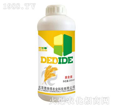 �S��������-�µص�