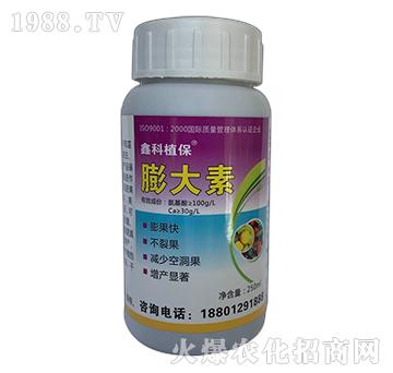 �����-�ο�ֲ��