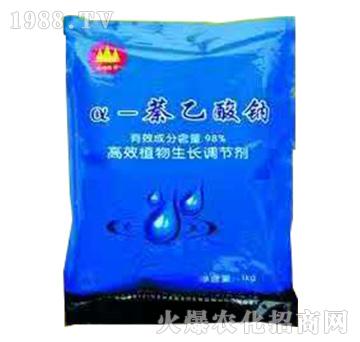 α-萘乙酸鈉-金山生物