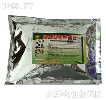 枯草芽孢桿菌粉-金山生物