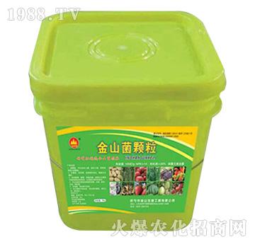 金山菌顆粒-金山生物