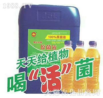 原菌液-金山生物