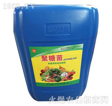 聚糖菌-金山生物