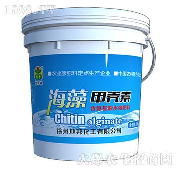 海藻甲殼素-地邦泉